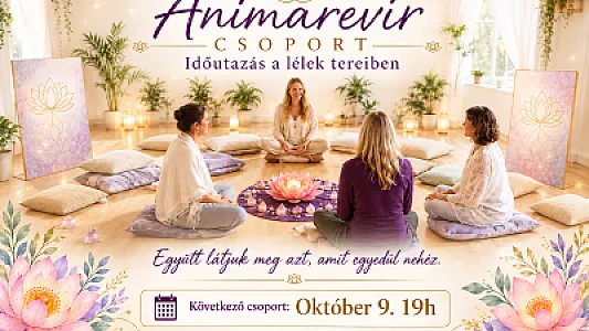 Animarevir-A visszatérő élethelyzeteink gyökérokainak feltárása